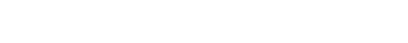 Superinsight.ai Logo